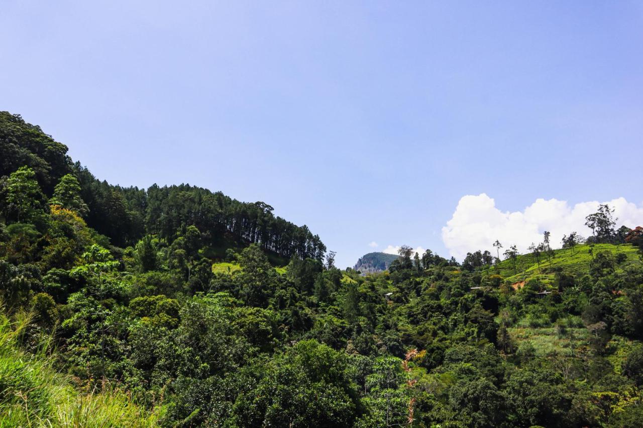 Nature Walk إيلا المظهر الخارجي الصورة