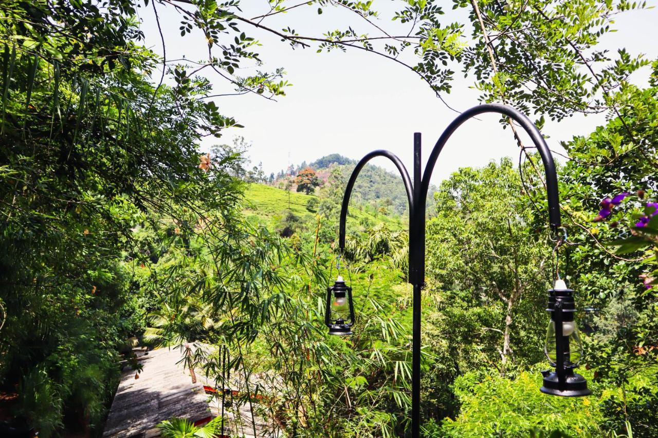 Nature Walk إيلا المظهر الخارجي الصورة