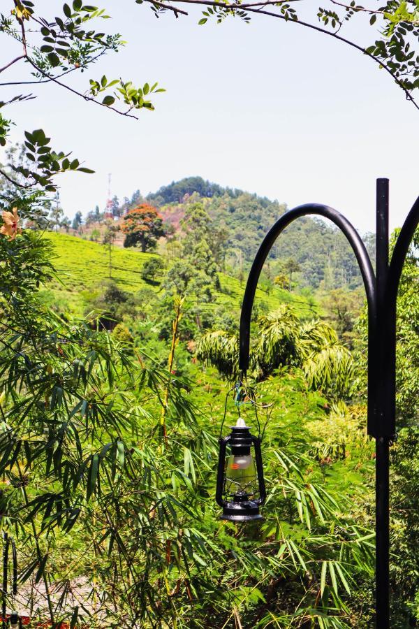 Nature Walk إيلا المظهر الخارجي الصورة